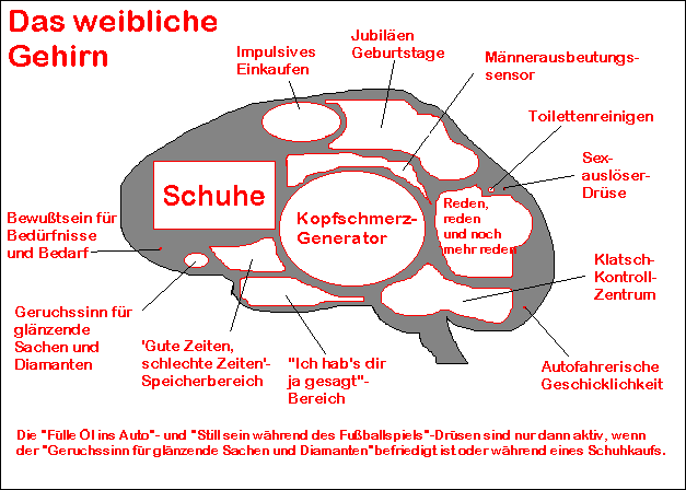 gehirnweiblich.gif (12795 Byte)